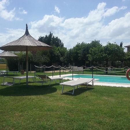 Agriturismo Dolce Verde Castiglione del Lago Eksteriør billede