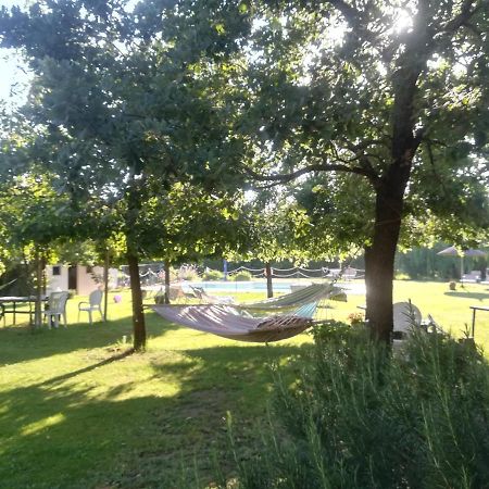 Agriturismo Dolce Verde Castiglione del Lago Eksteriør billede
