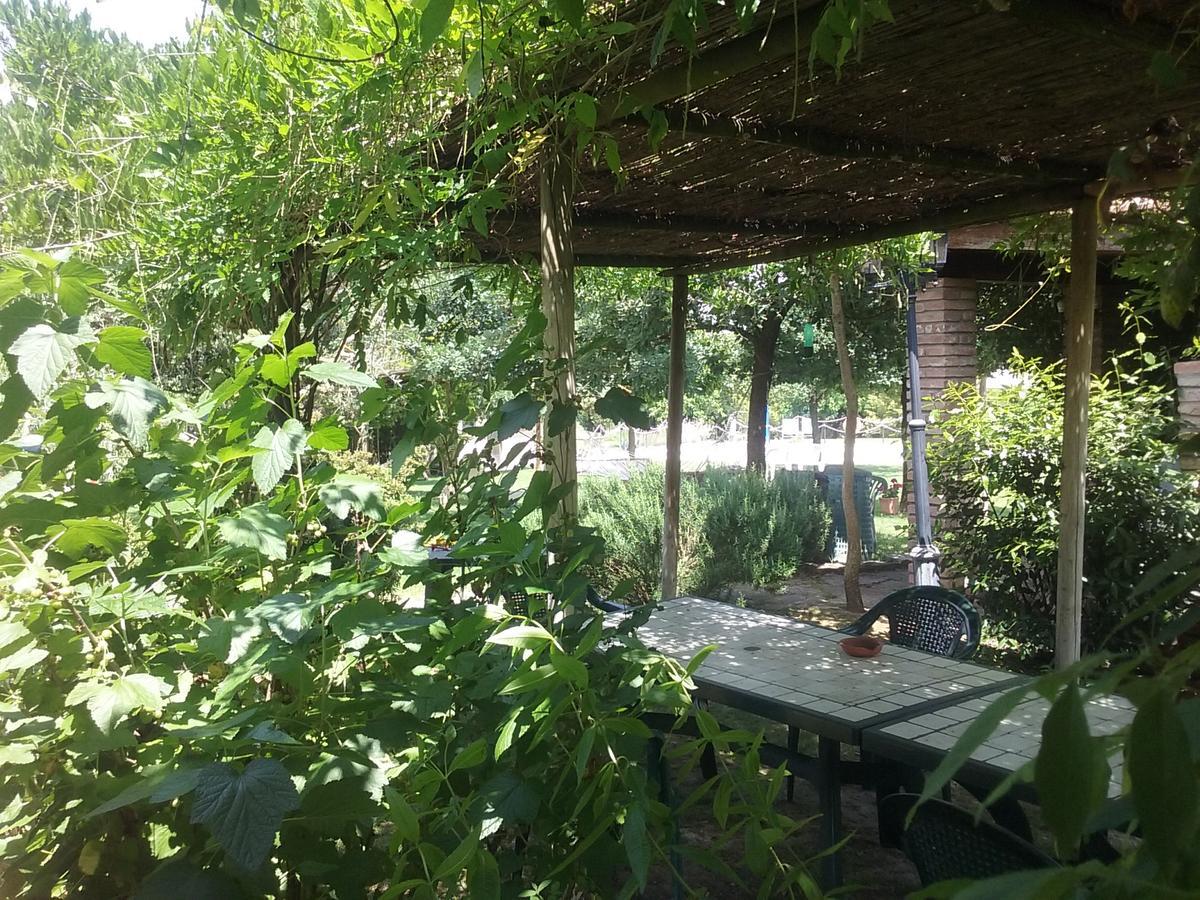 Agriturismo Dolce Verde Castiglione del Lago Eksteriør billede