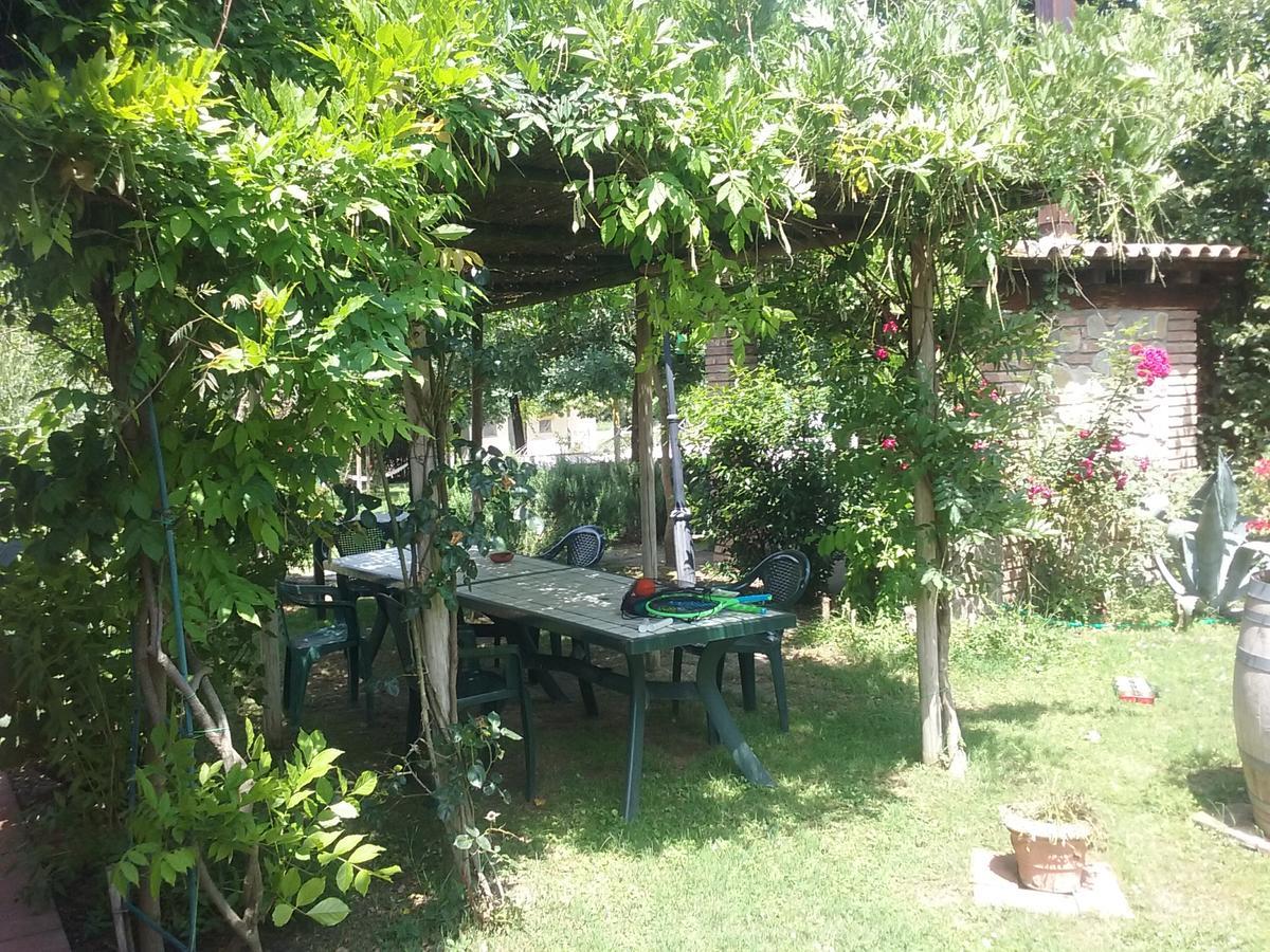 Agriturismo Dolce Verde Castiglione del Lago Eksteriør billede
