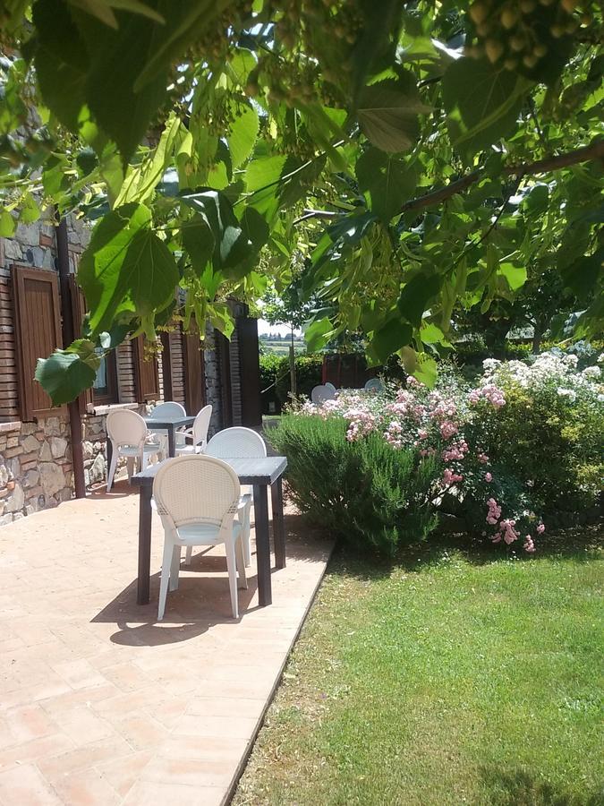 Agriturismo Dolce Verde Castiglione del Lago Eksteriør billede