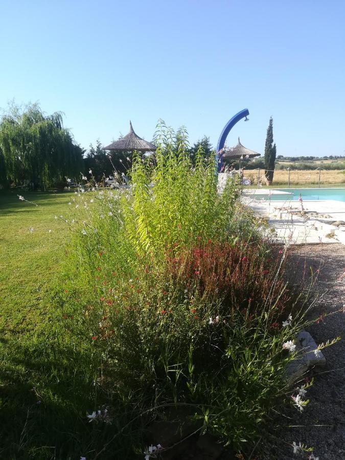 Agriturismo Dolce Verde Castiglione del Lago Eksteriør billede